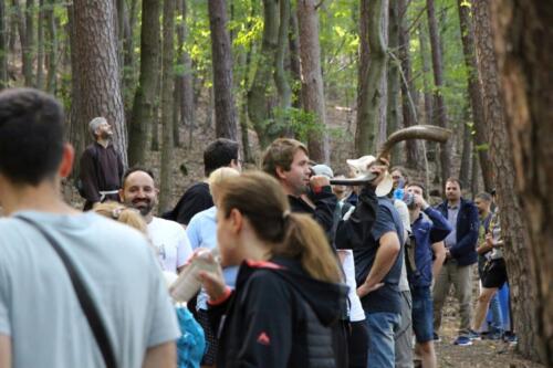 20250823120830-DeNoiseAI-standard