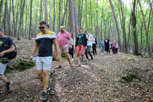 20250823120959-DeNoiseAI-standard