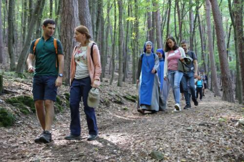 20250823121038-DeNoiseAI-standard