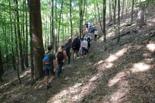 20250823121157-DeNoiseAI-standard