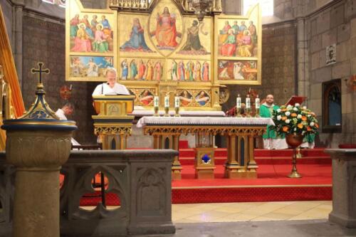 20250824113230-DeNoiseAI-standard